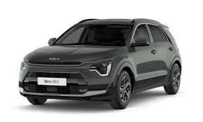 Niro (tot 2020/7,4kW)